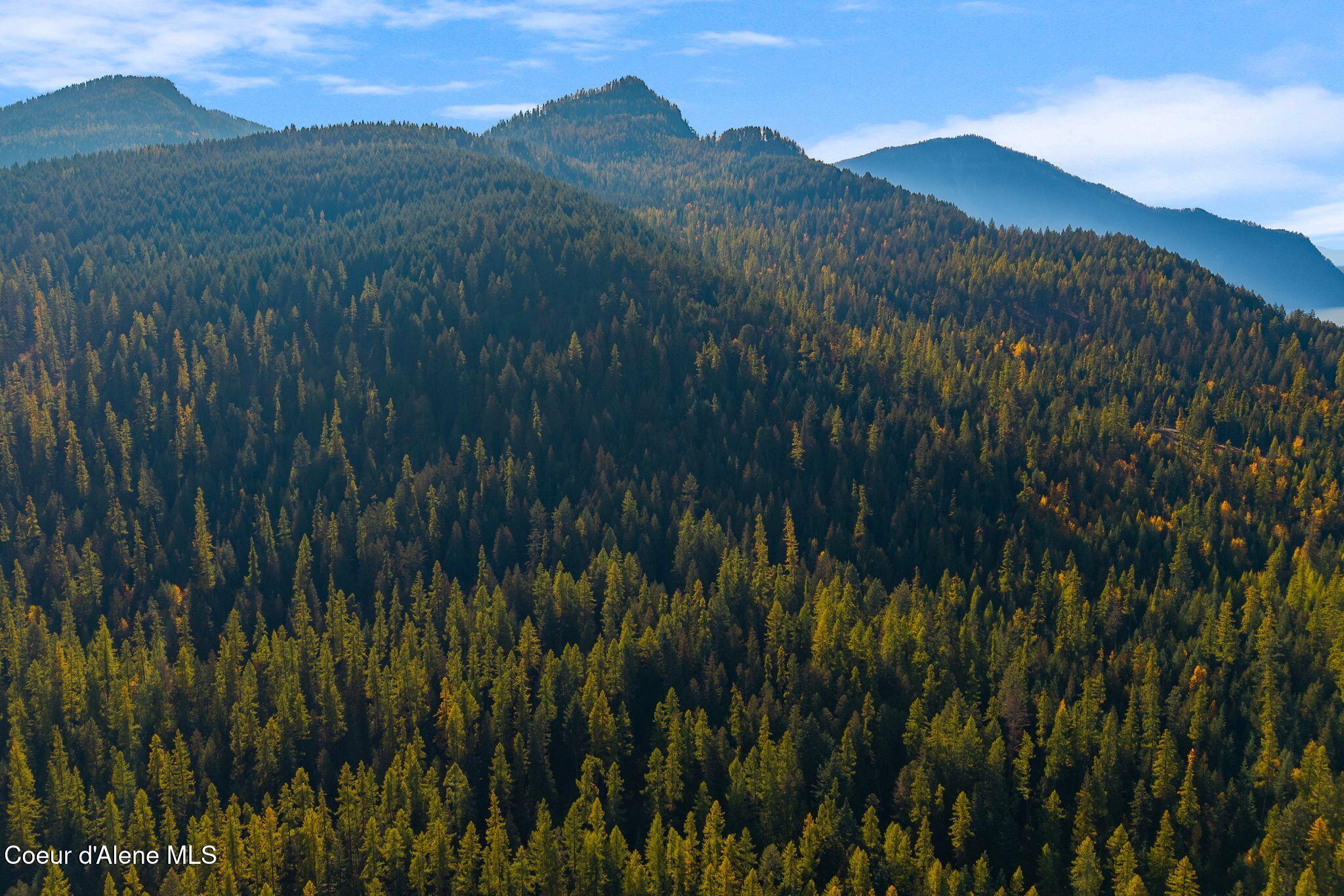 Nna Big Buck Road Athol, ID 83801 - Photo 7 of 18 7_DJI_20251023051144_0757_D