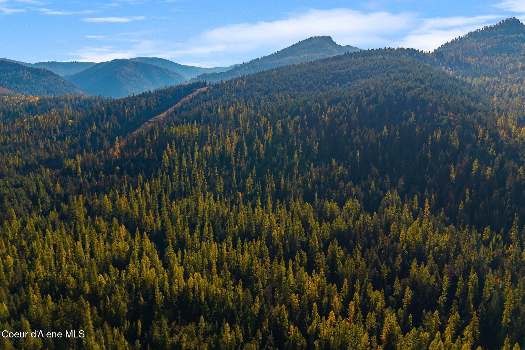 Nna Big Buck Road Athol, ID 83801 - Photo 8 of 18 8_DJI_20251023051201_0762_D