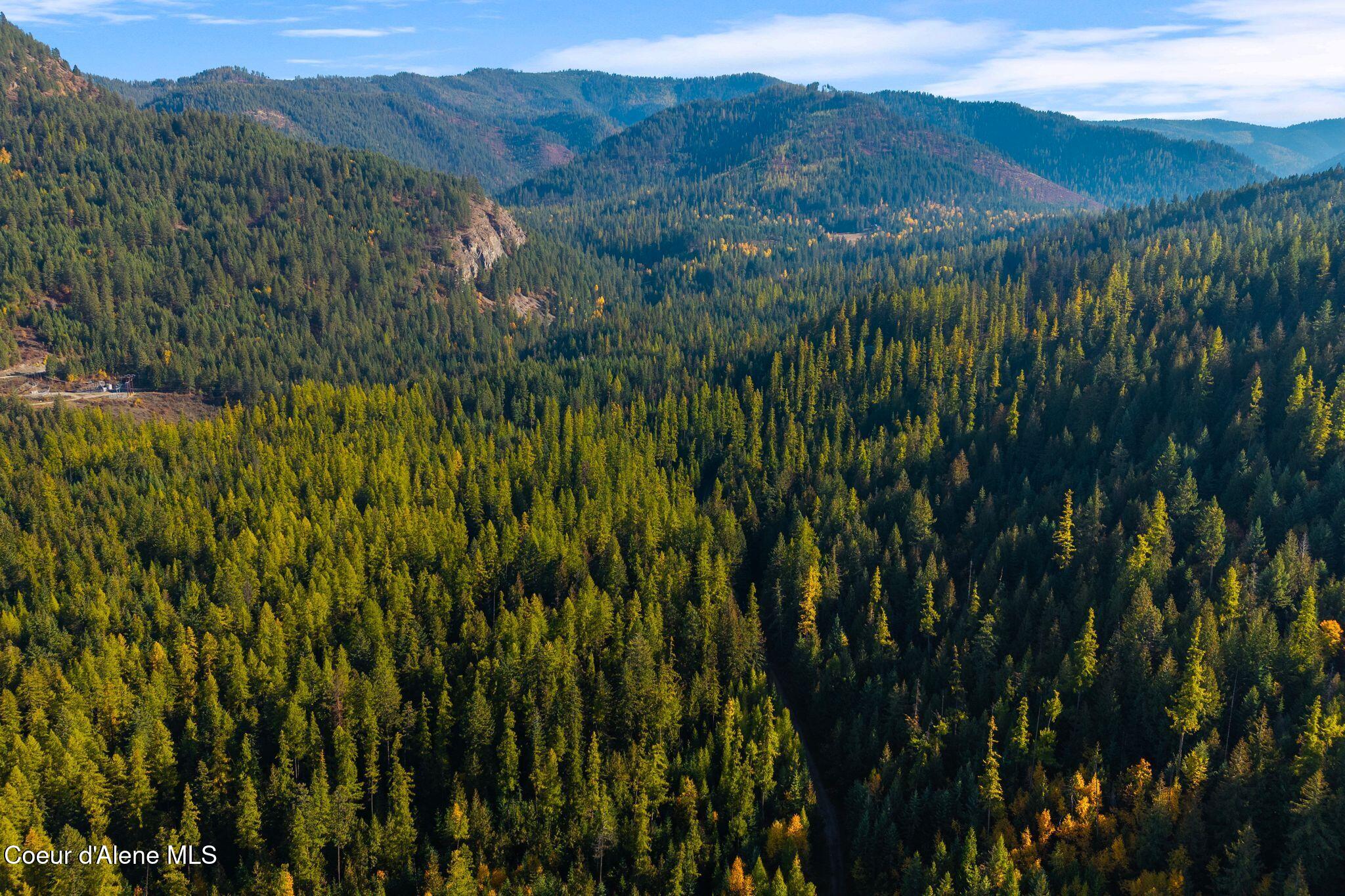 Nna Big Buck Road Athol, ID 83801 - Photo 9 of 18 9_DJI_20251023051247_0768_D