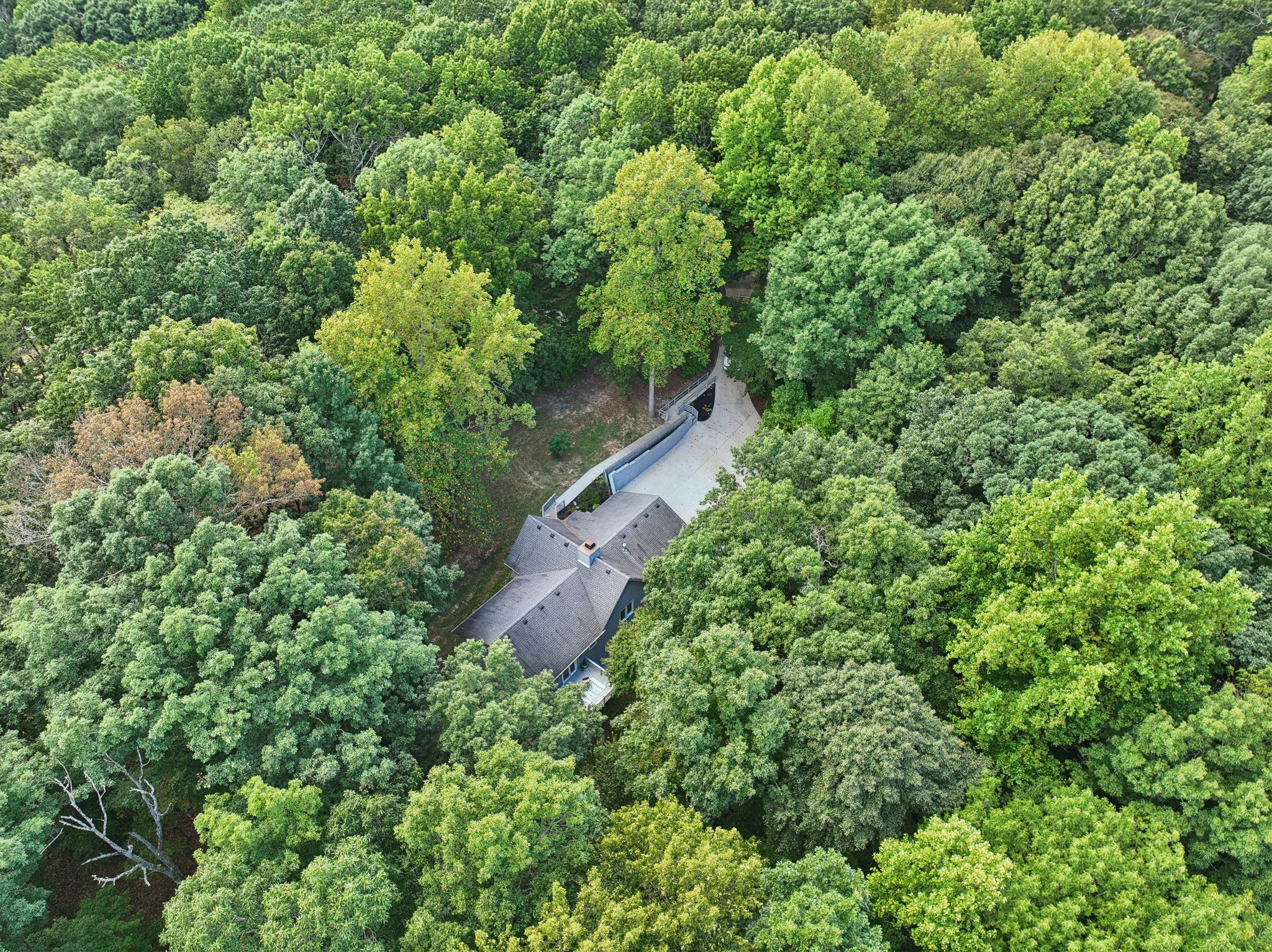 5185 Waddell Hollow Road Franklin, TN 37064 - Photo 62 of 66