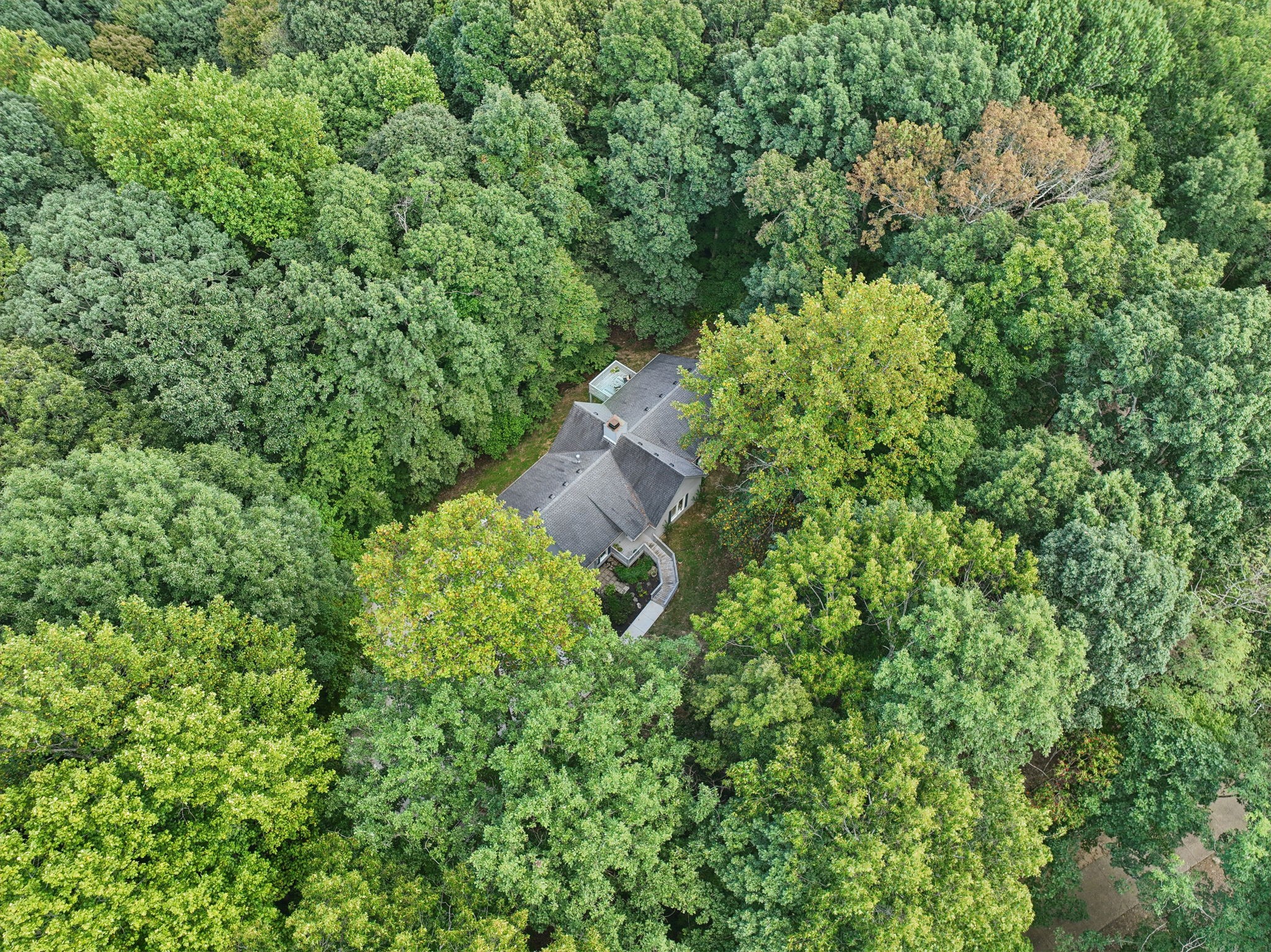 5185 Waddell Hollow Road Franklin, TN 37064 - Photo 63 of 66