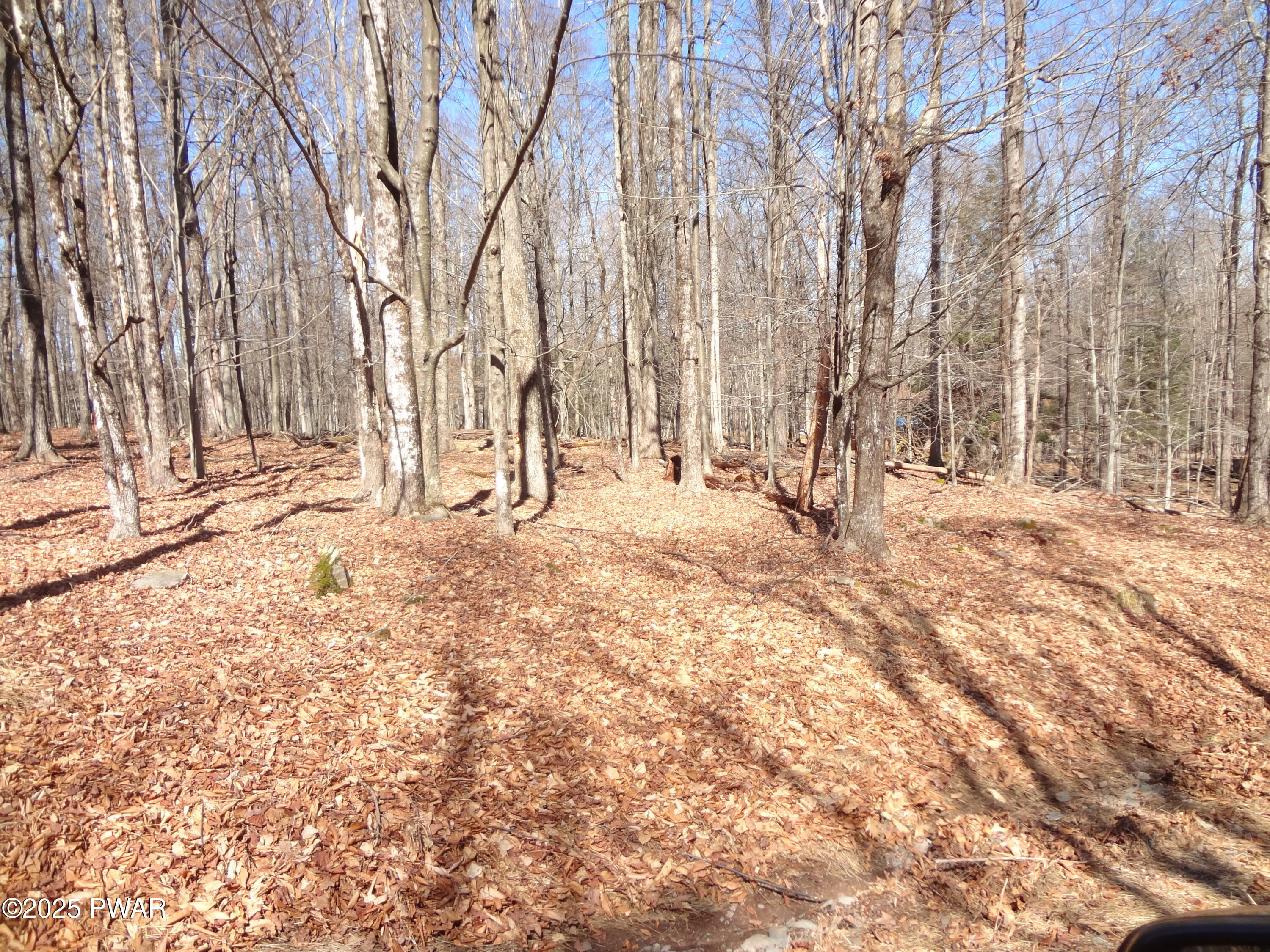 Lot #130 North Knob Road Greentown, PA 18426 - Photo 14 of 15