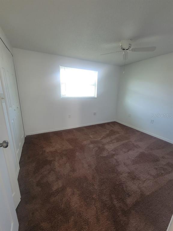 4922 Filner Street New Port Richey, FL 34652 - Photo 8 of 12