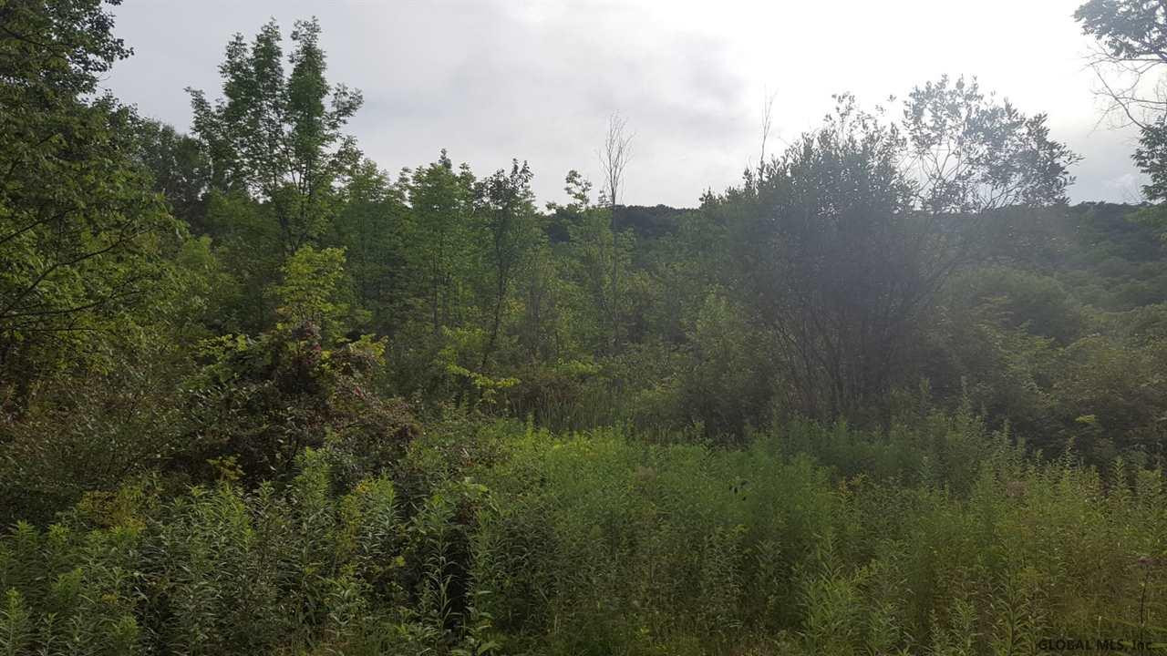 Butler Road Esperance, NY 12066 - Photo 1 of 12 Photo 1