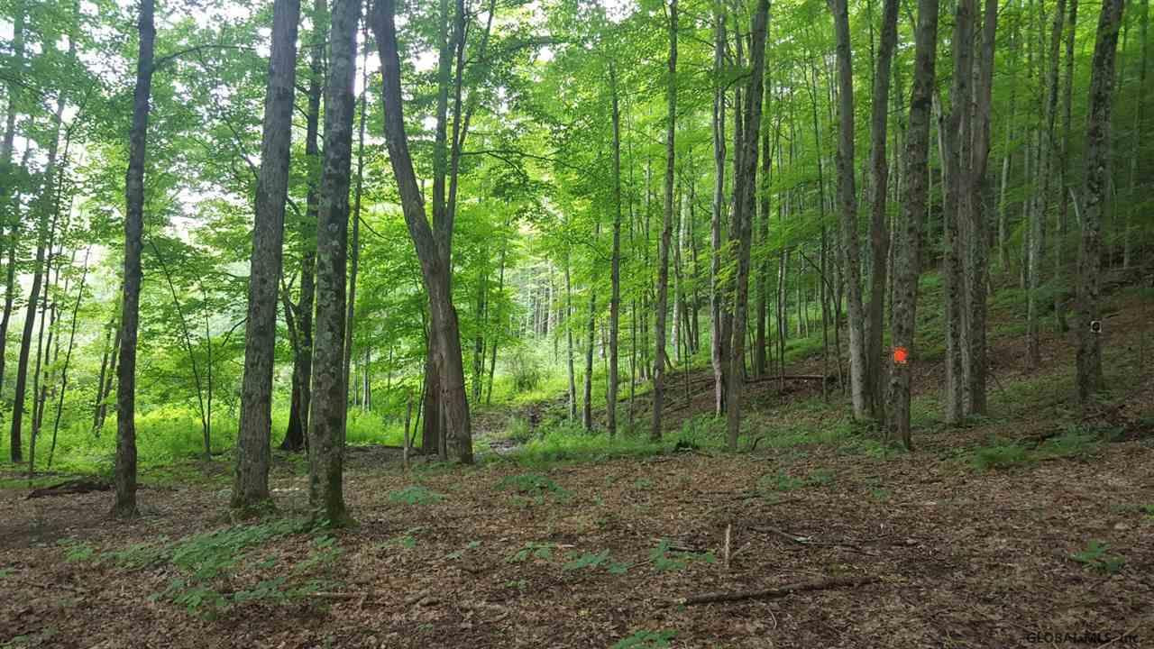 Butler Road Esperance, NY 12066 - Photo 11 of 12 Photo 11