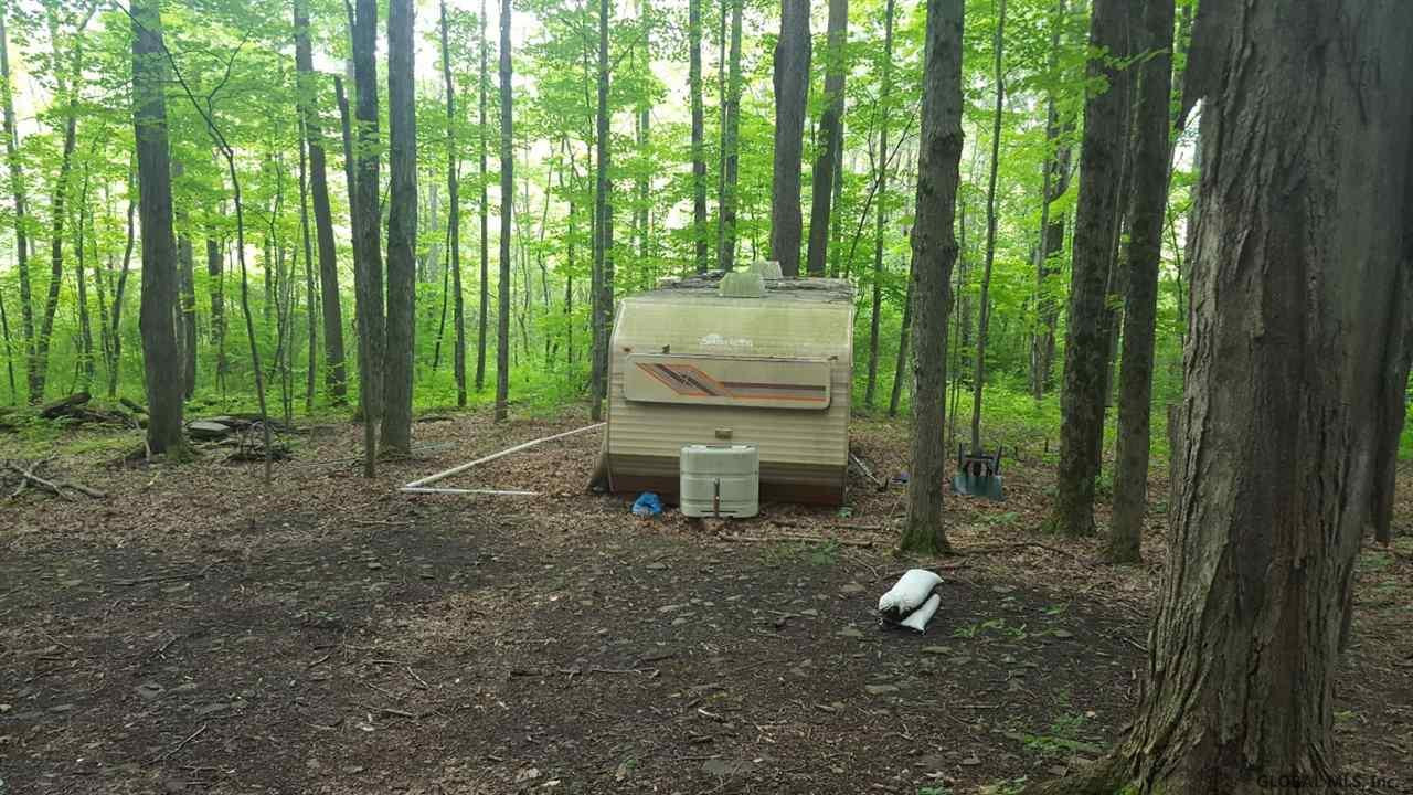 Butler Road Esperance, NY 12066 - Photo 12 of 12 Photo 12
