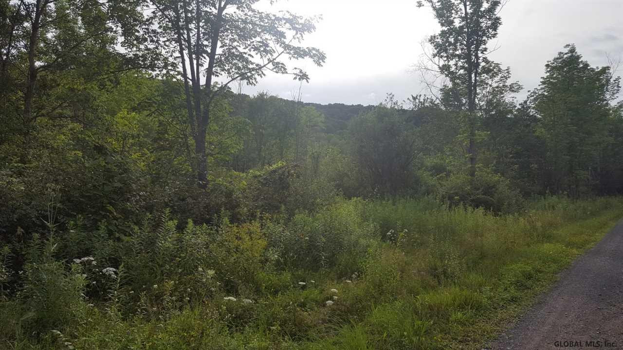 Butler Road Esperance, NY 12066 - Photo 2 of 12 Photo 2