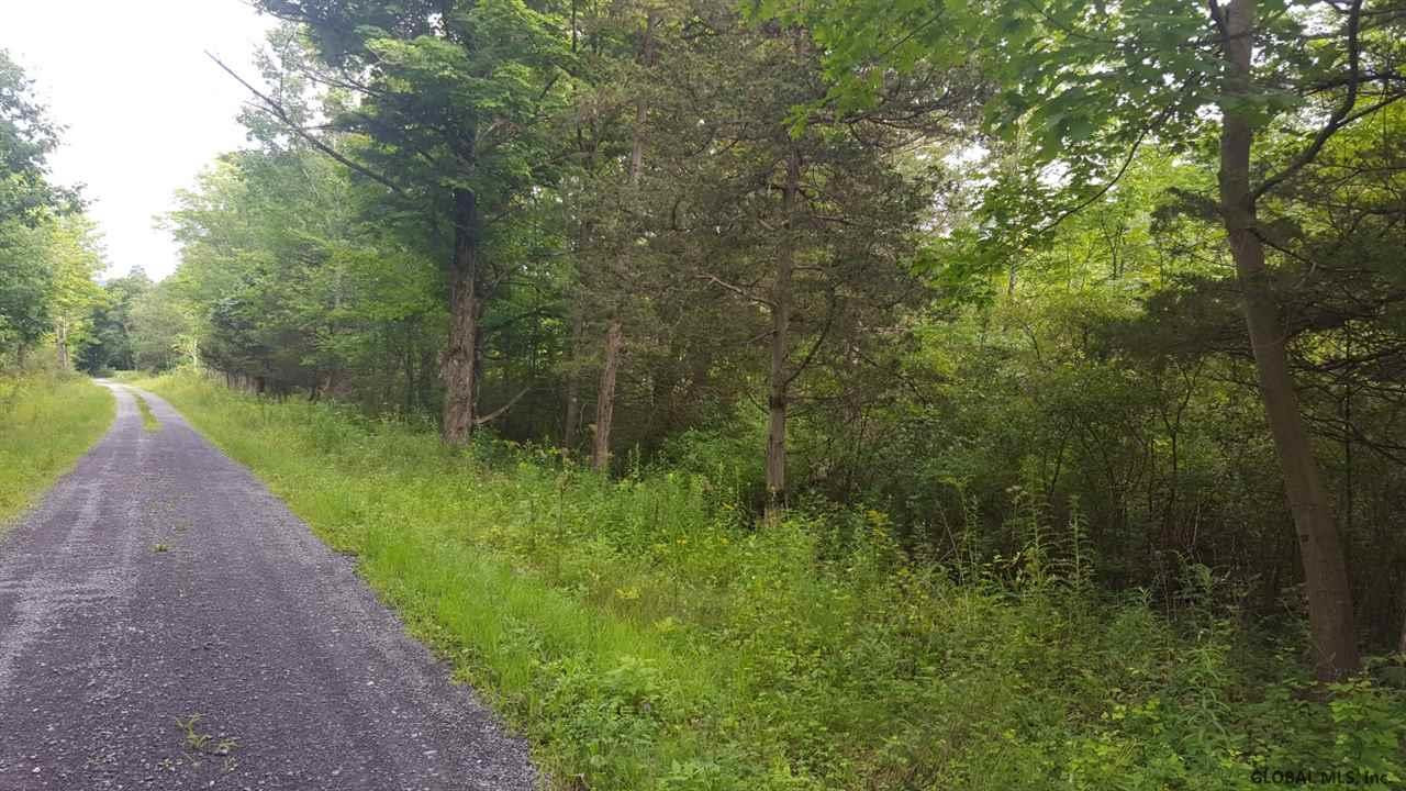 Butler Road Esperance, NY 12066 - Photo 3 of 12 Photo 3