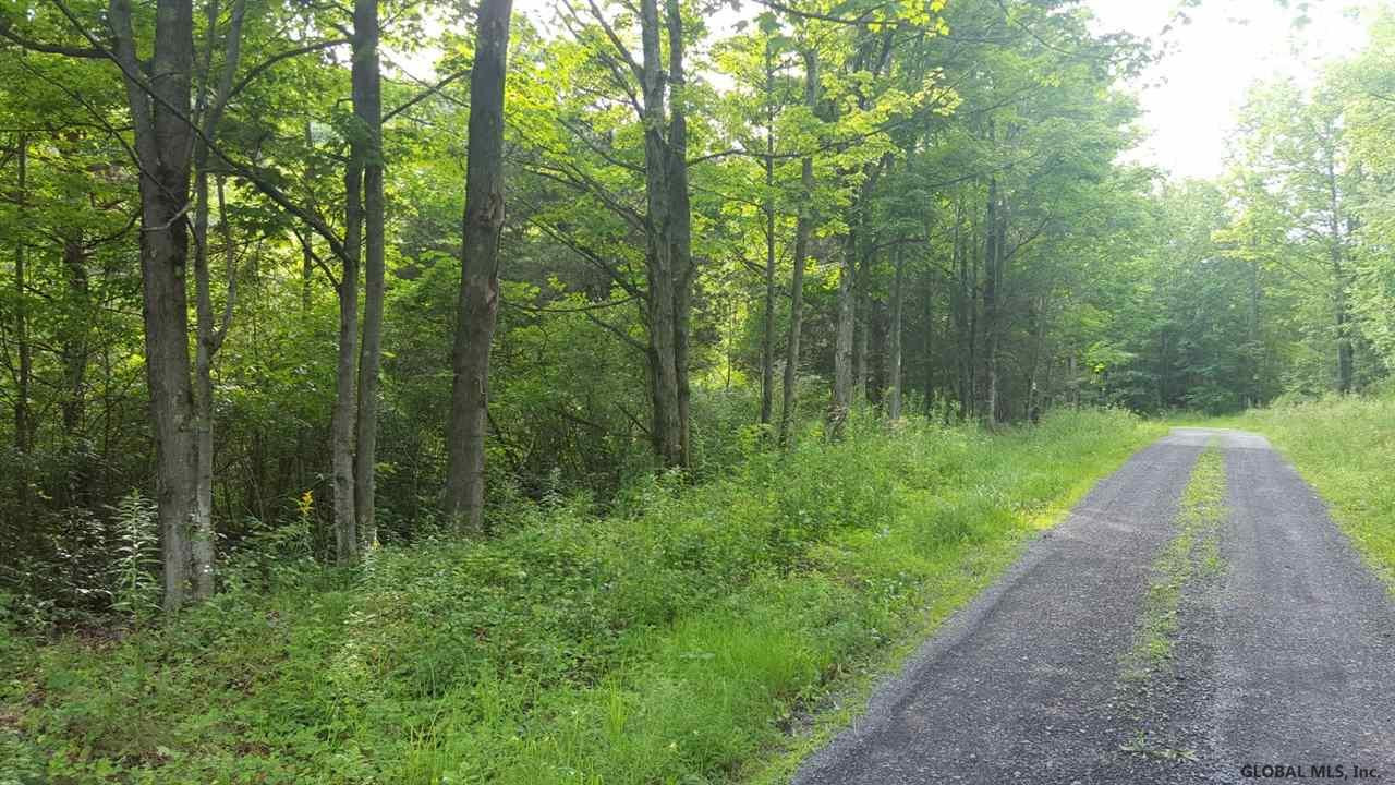 Butler Road Esperance, NY 12066 - Photo 4 of 12 Photo 4
