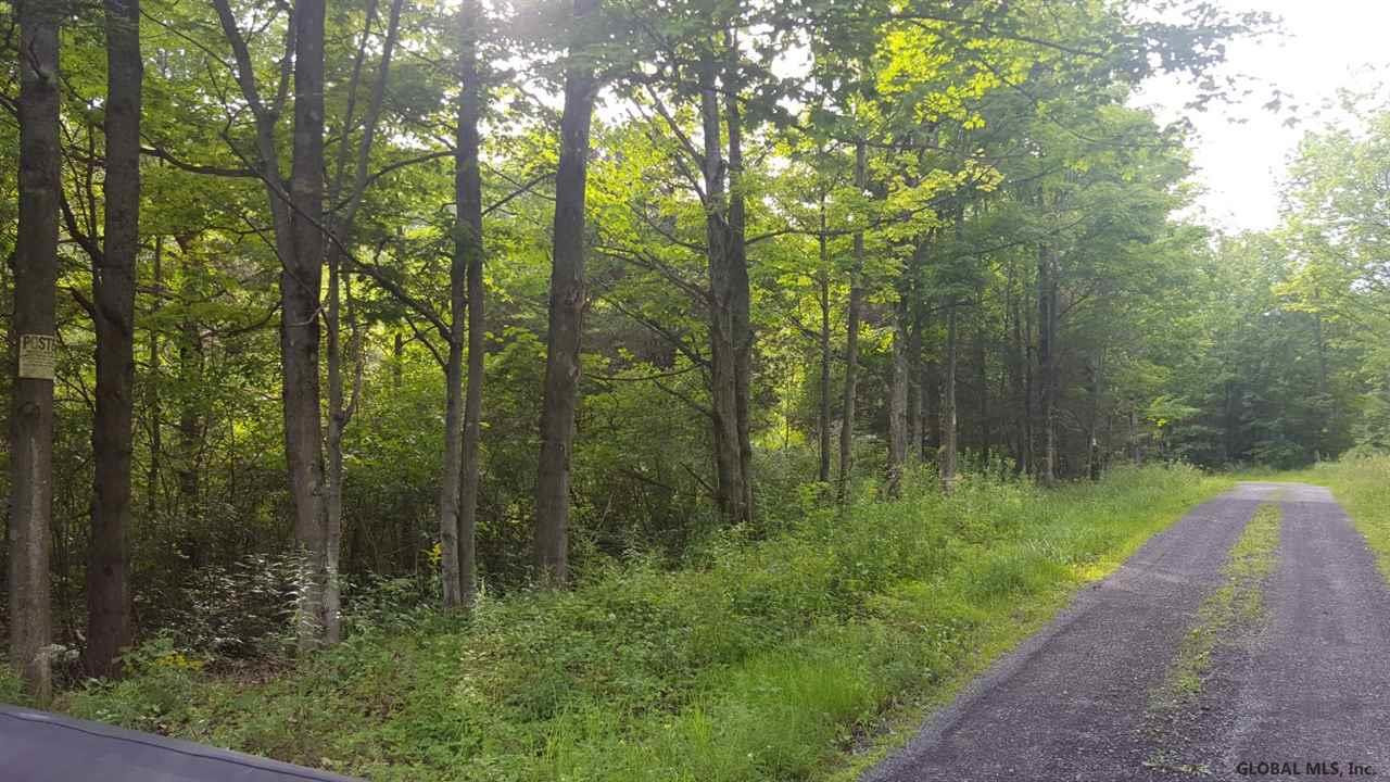 Butler Road Esperance, NY 12066 - Photo 5 of 12 Photo 5