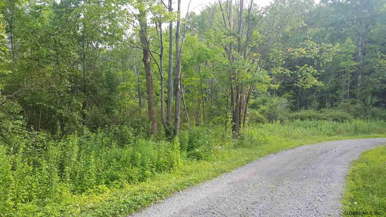 Butler Road Esperance, NY 12066 - Photo 6 of 12 Photo 6