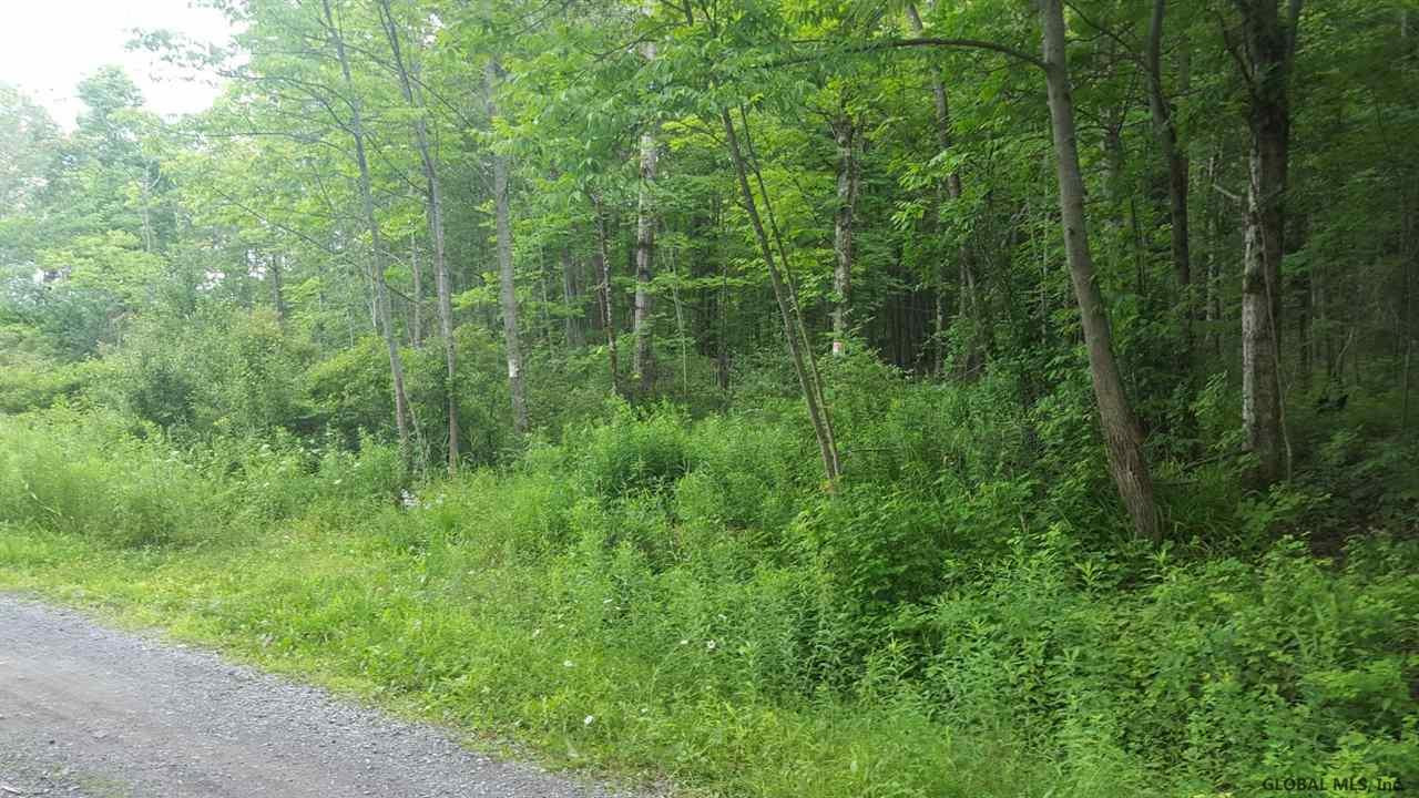 Butler Road Esperance, NY 12066 - Photo 7 of 12 Photo 7