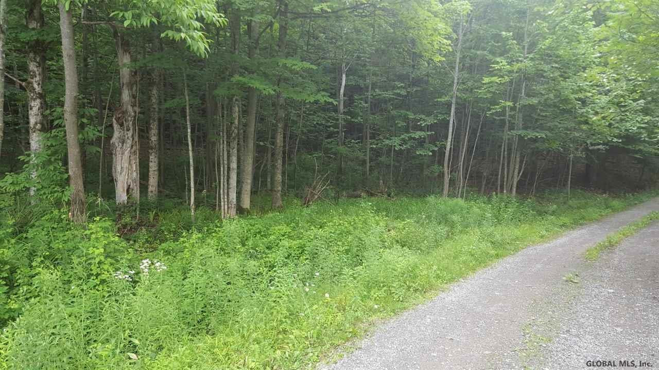 Butler Road Esperance, NY 12066 - Photo 8 of 12 Photo 8