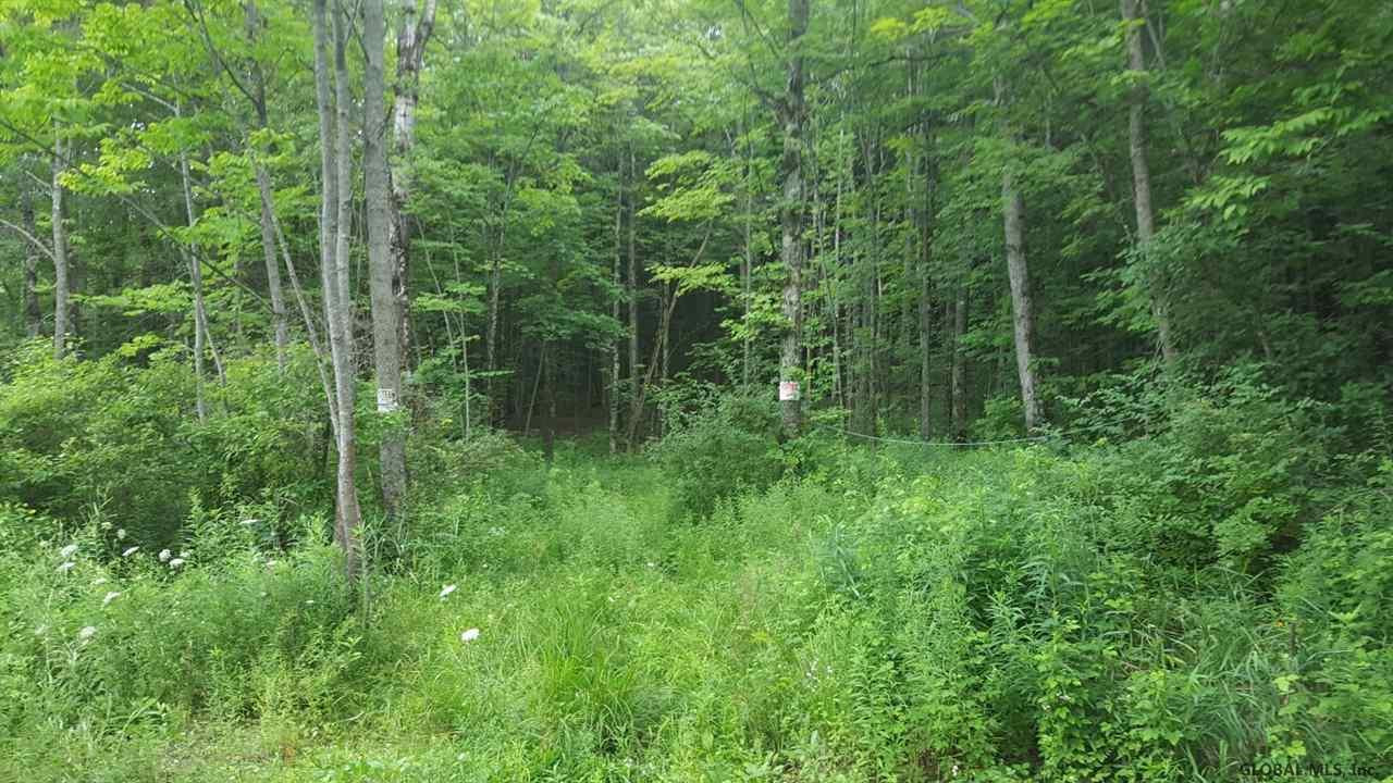 Butler Road Esperance, NY 12066 - Photo 9 of 12 Photo 9