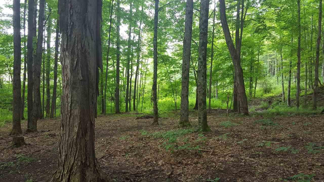 Butler Road Esperance, NY 12066 - Photo 10 of 12 Photo 10