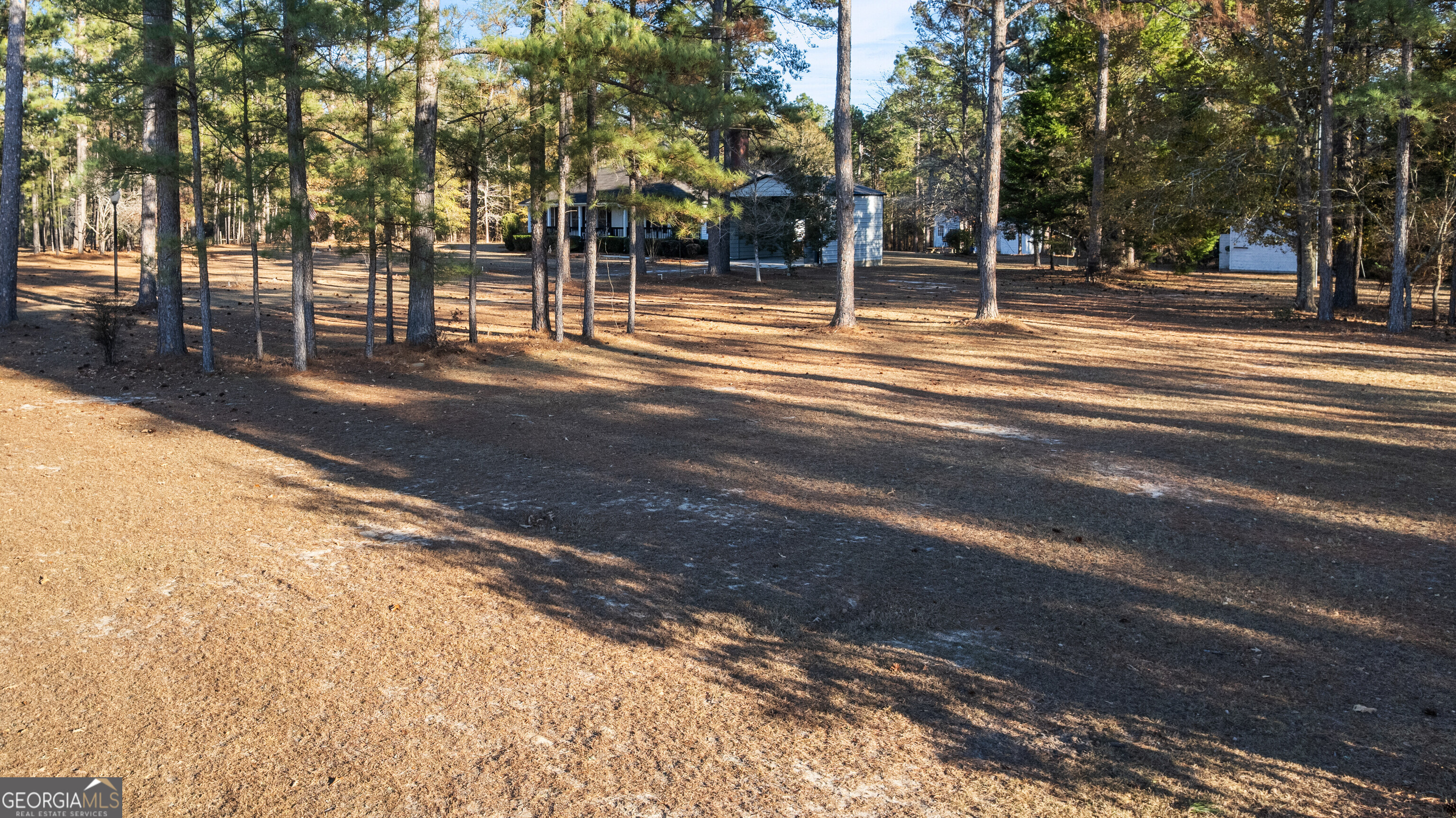 264 Ridley Road Eastman, GA 31023 - Photo 11 of 64