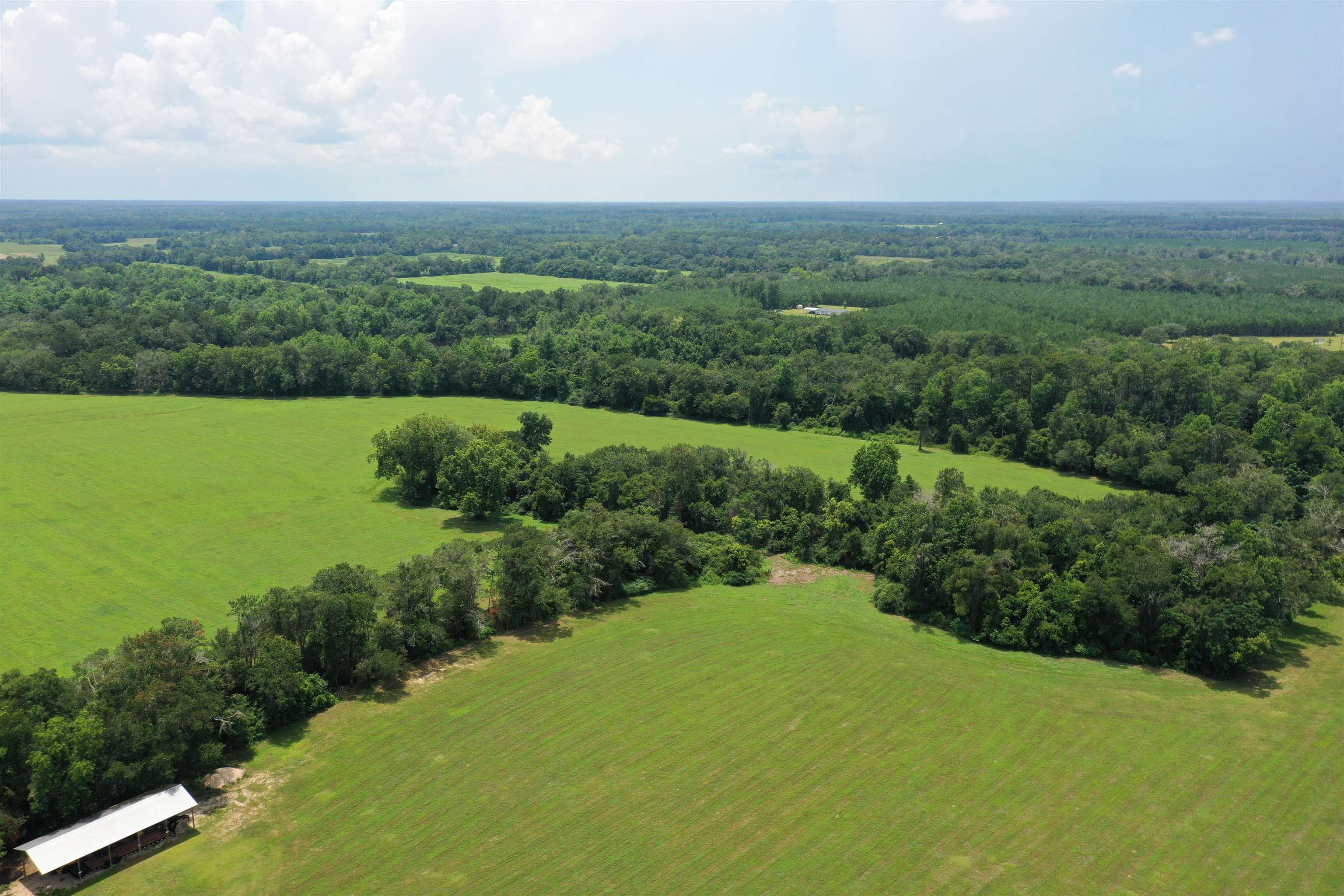 Xx Xx Max Herrin Road Quincy, FL 32352 - Photo 5 of 46