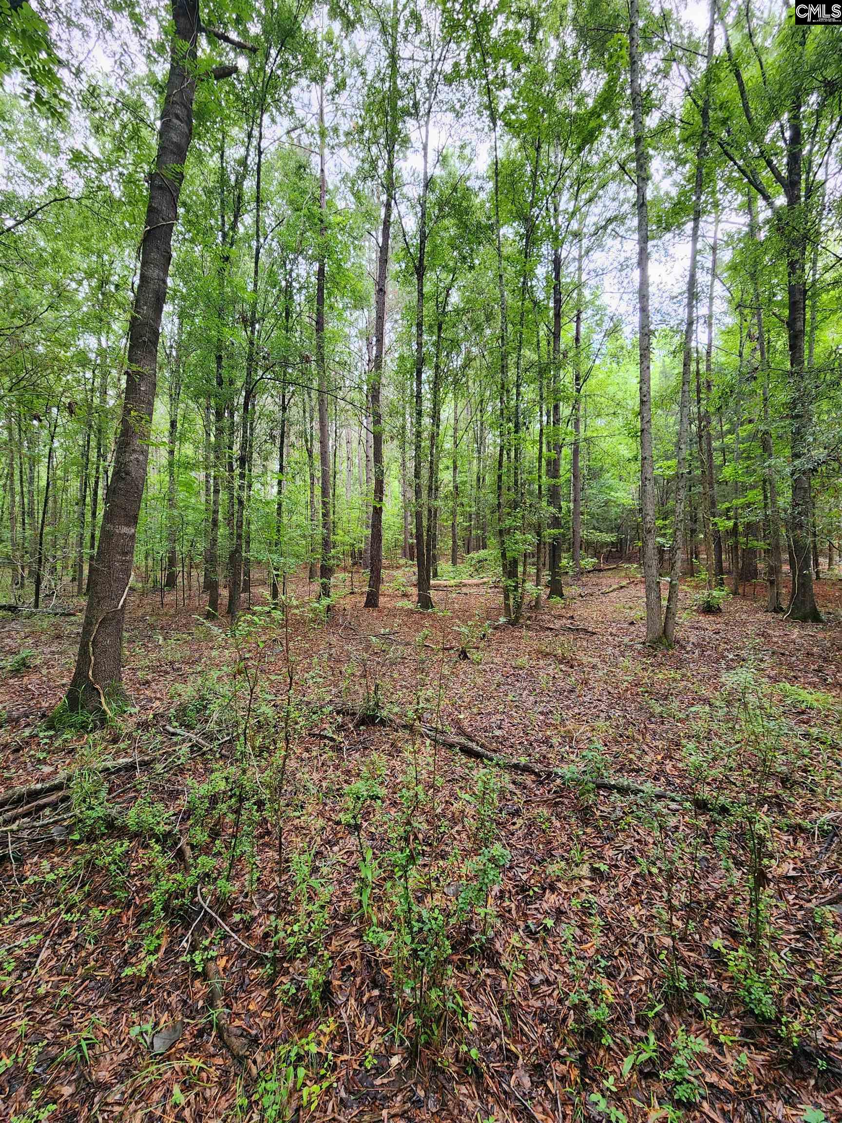 0 Elm Street Prosperity, SC 29127 - Photo 22 of 26