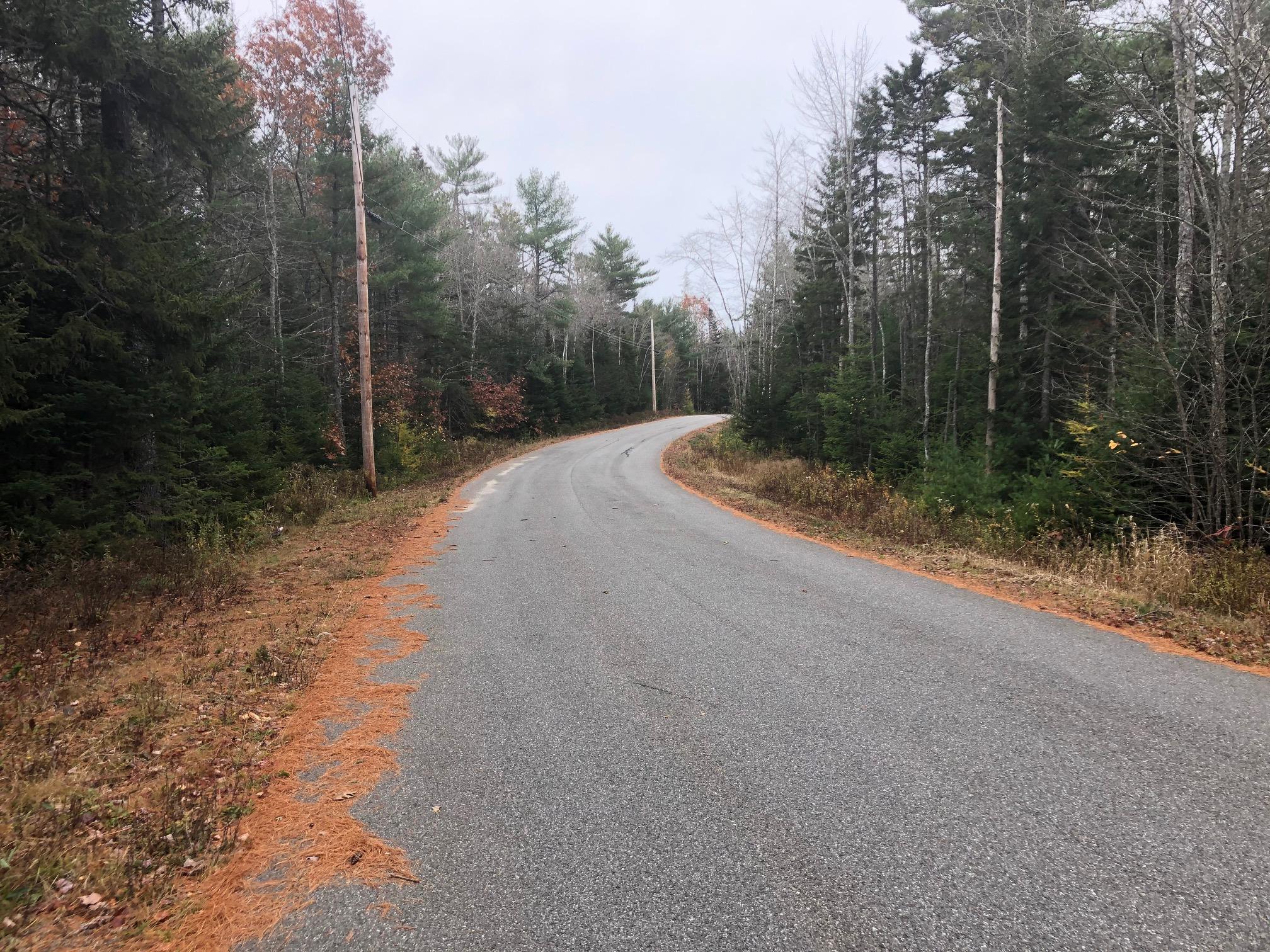 77 Farm Edge Road Sullivan, ME 04664 - Photo 3 of 5 IMG_1784