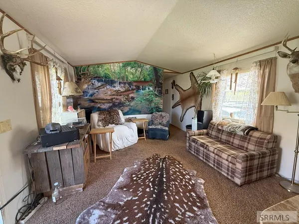 $175,000 | 233 Obsidian Drive, Salmon, ID 83467