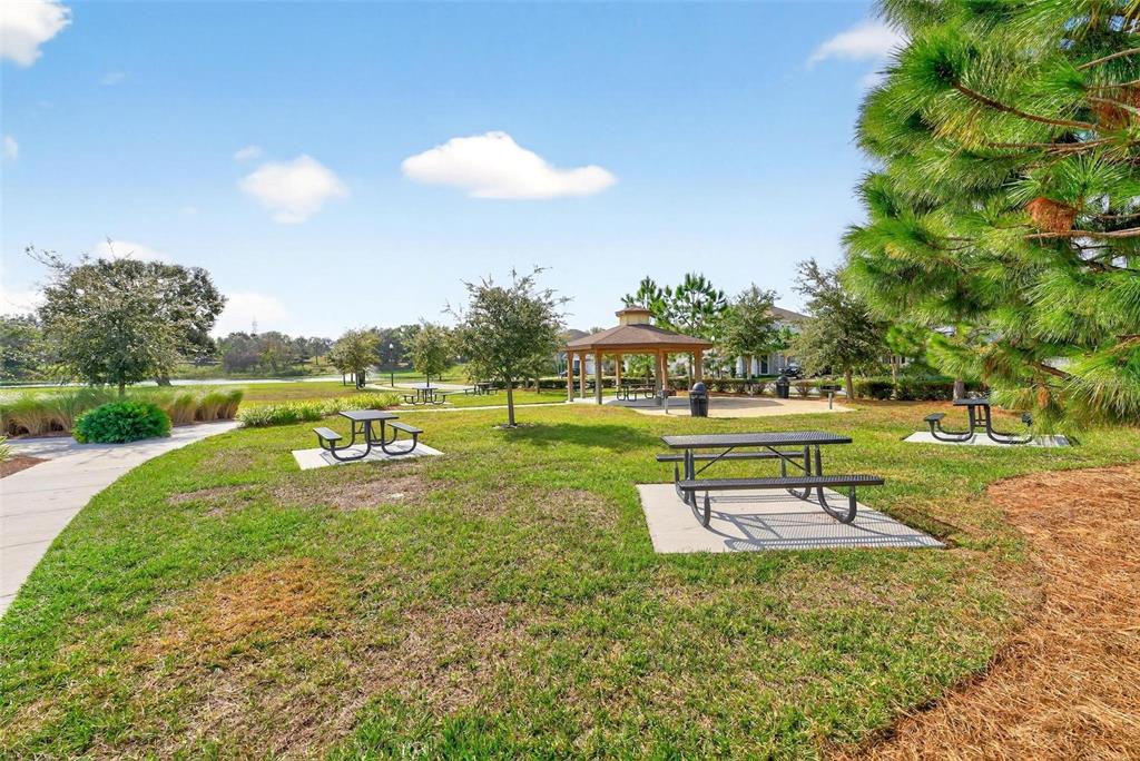 2139 Bay Line Road Oakland, FL 34787 - Photo 49 of 57 a view of a park with large trees