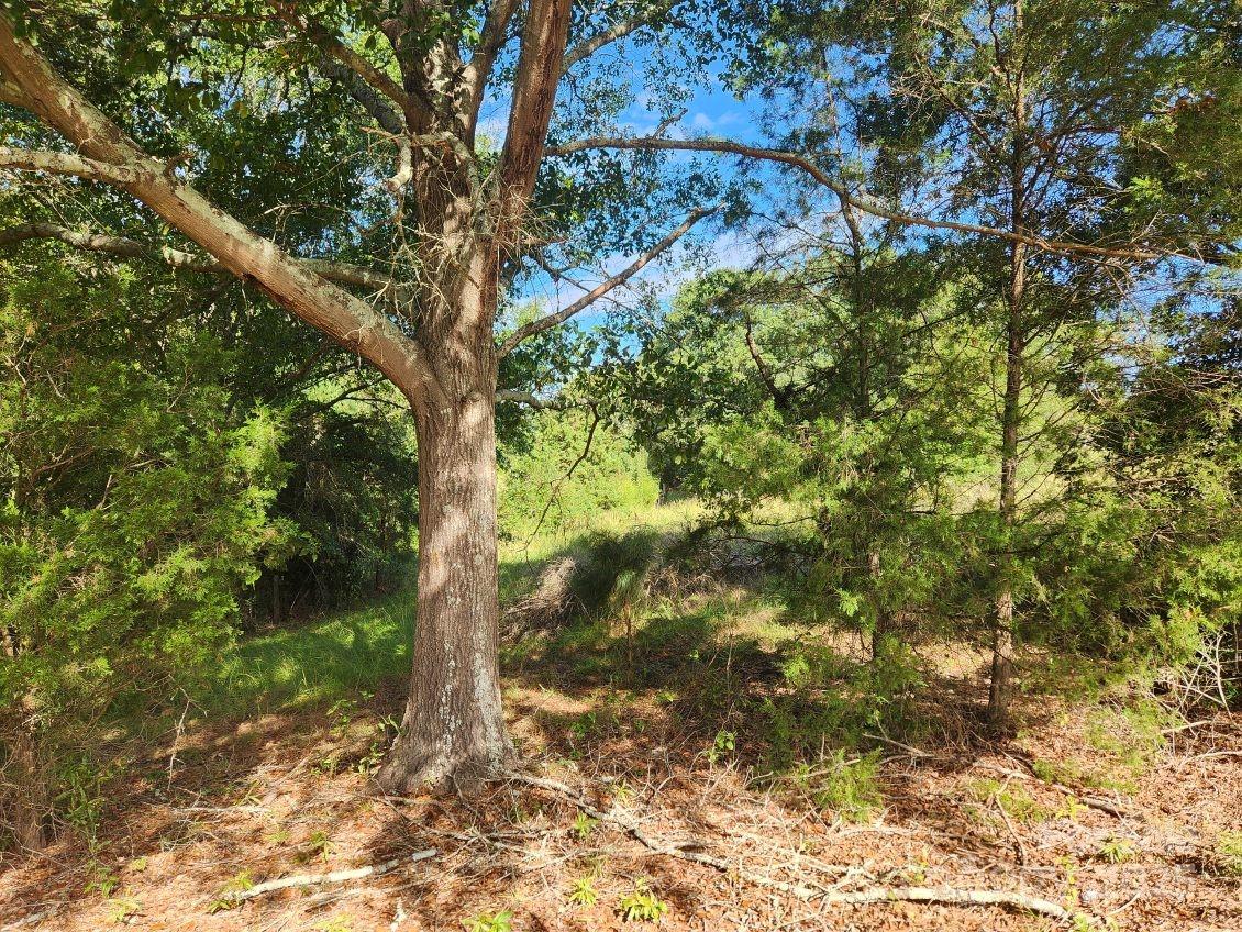 5987 Charlotte Highway Lancaster, SC 29720 - Photo 13 of 22