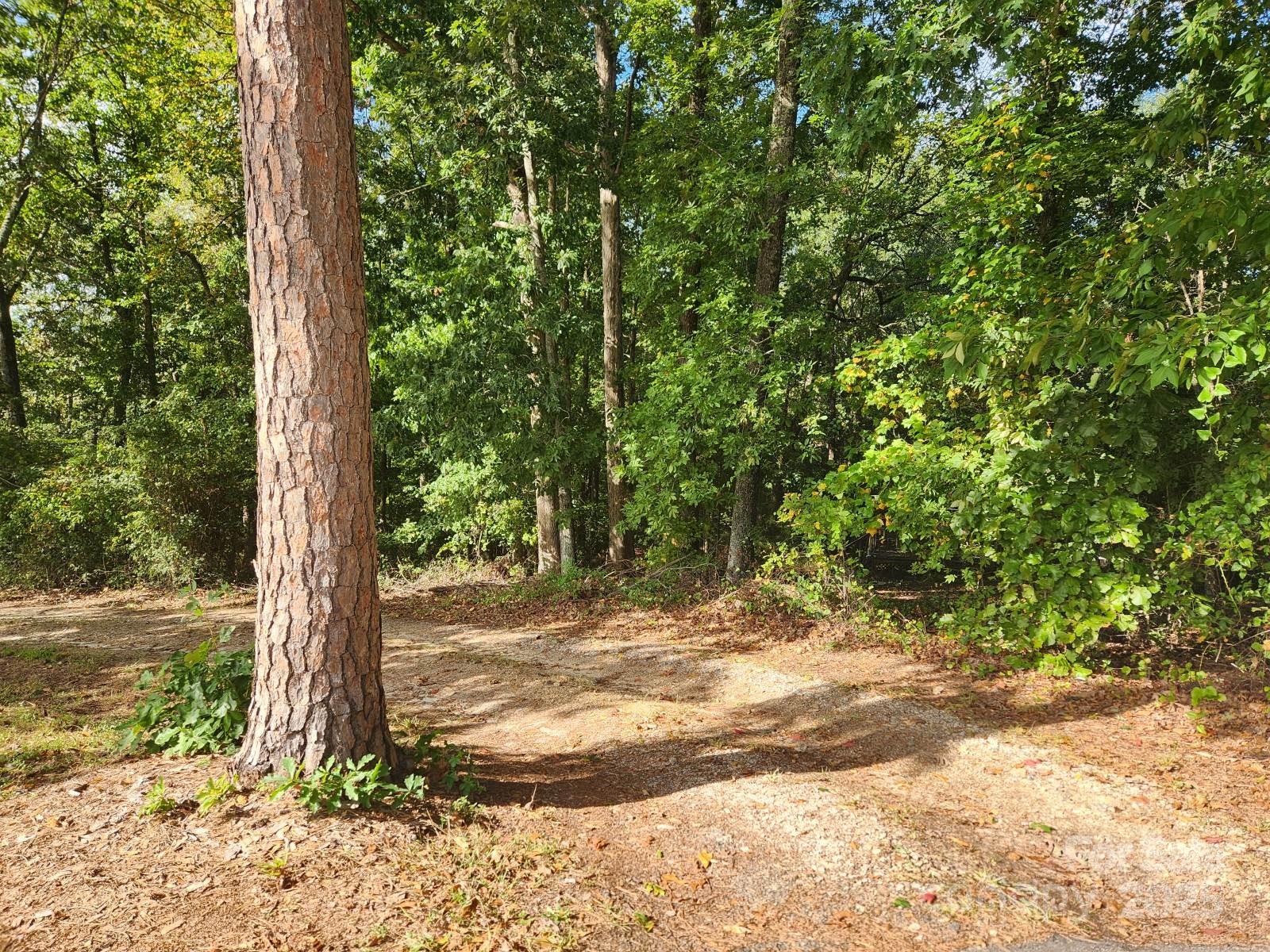 5987 Charlotte Highway Lancaster, SC 29720 - Photo 17 of 22