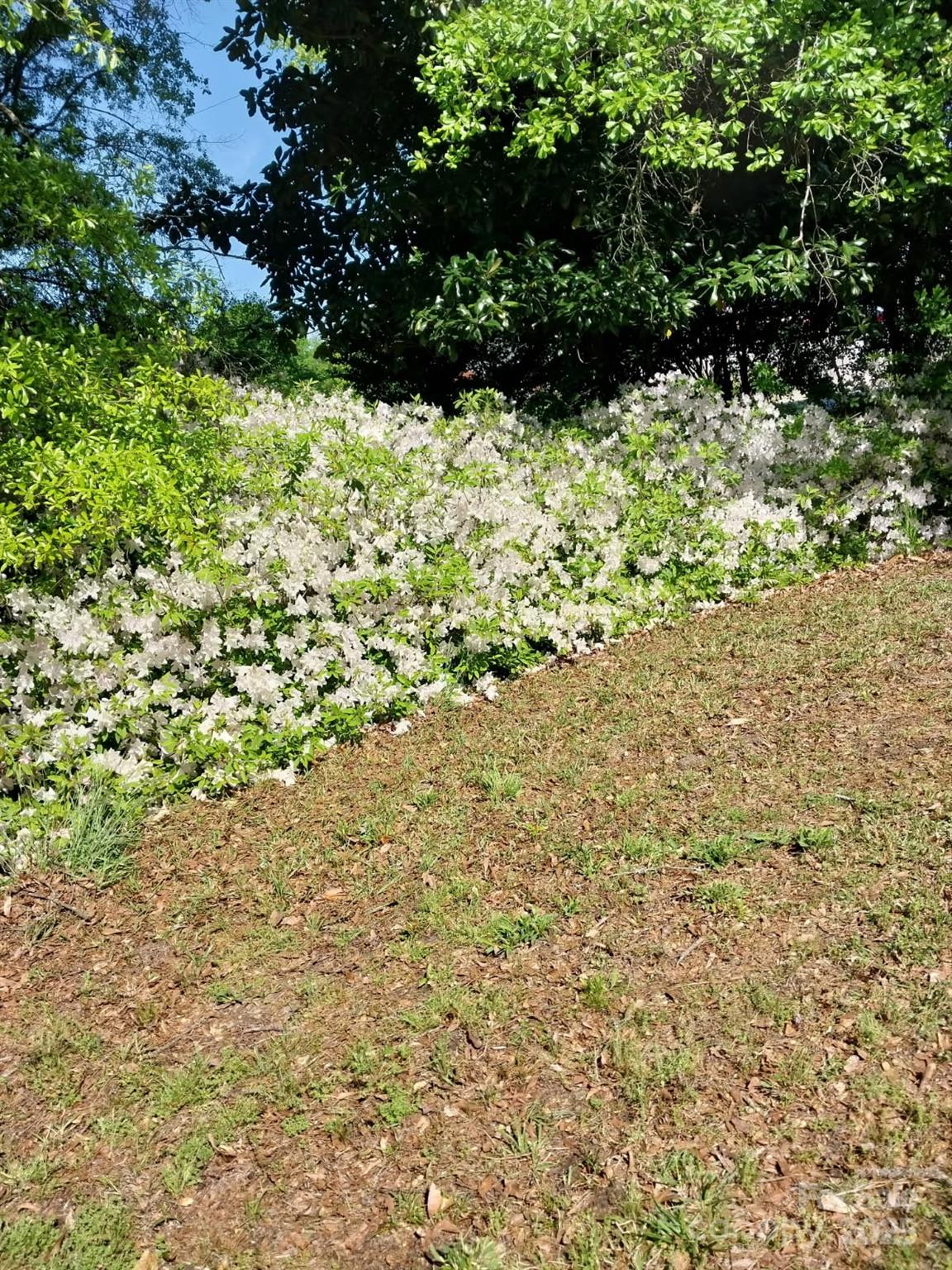 5987 Charlotte Highway Lancaster, SC 29720 - Photo 20 of 22