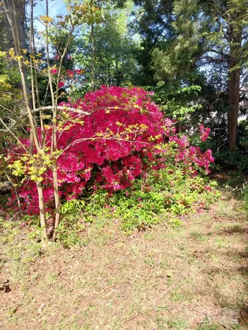 $1,250,000 | 5987 Charlotte Highway, Lancaster, SC 29720