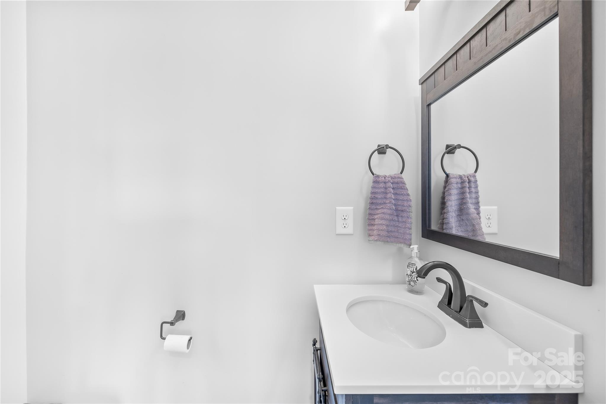 1858 Caprington Drive Fort Mill, SC 29707 - Photo 23 of 46 a bathroom with a sink and a mirror