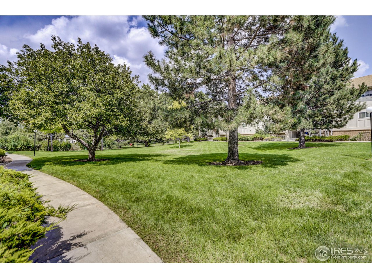 1024 East Swallow Road, Unit 322 Fort Collins, CO 80525 - Photo 15 of 17 Gallery Image 15