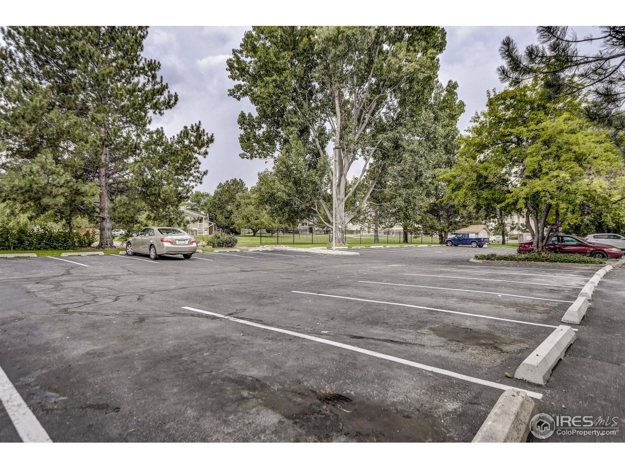 1024 East Swallow Road, Unit 322 Fort Collins, CO 80525 - Photo 16 of 17 Gallery Image 16