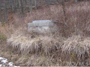 0 C Road Petroleum, WV 26161 - Photo 4 of 6 Gallery Image 4