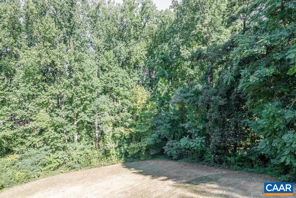 475 David Road Charlottesville, VA 22902 - Photo 36 of 38 a view of a yard with a tree
