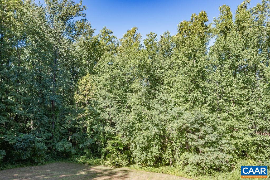 475 David Road Charlottesville, VA 22902 - Photo 37 of 38 a view of a yard with plants and a bench