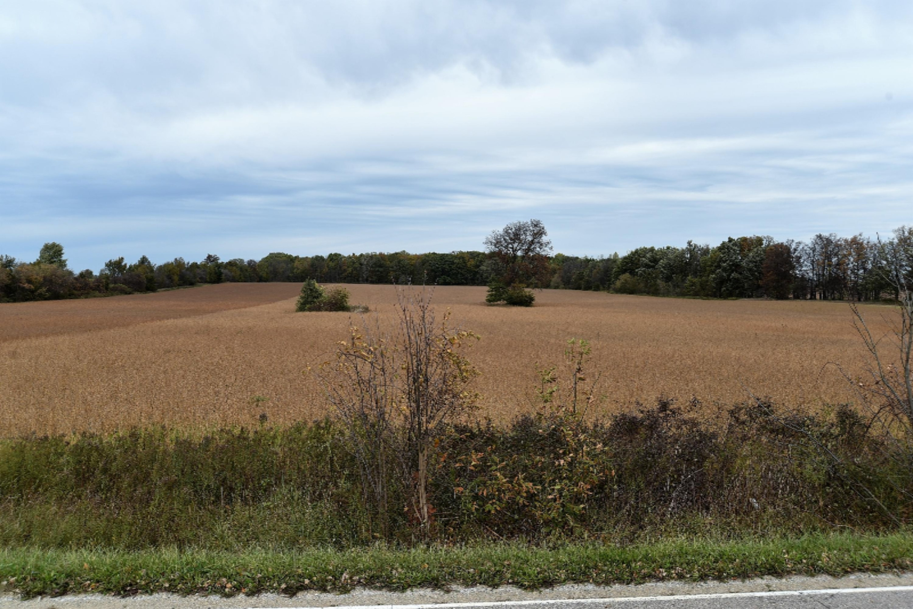 Bennington Road Durand, MI 48429 - Photo 5 of 9 p2-4