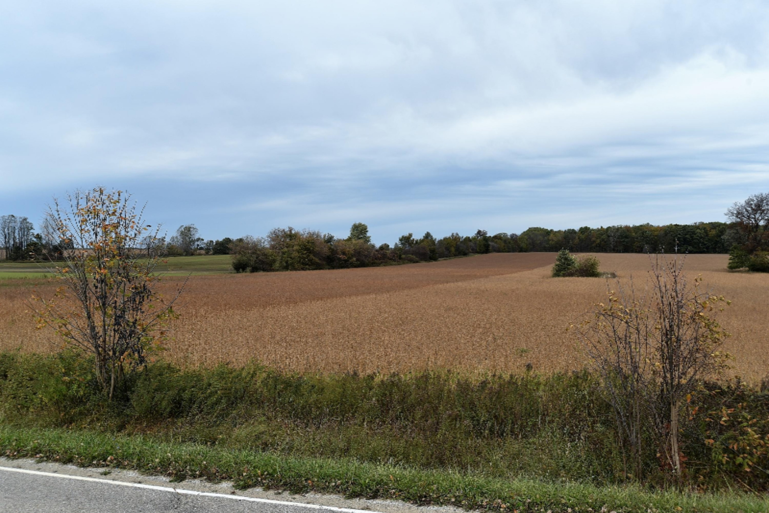 Bennington Road Durand, MI 48429 - Photo 7 of 9 p2-6