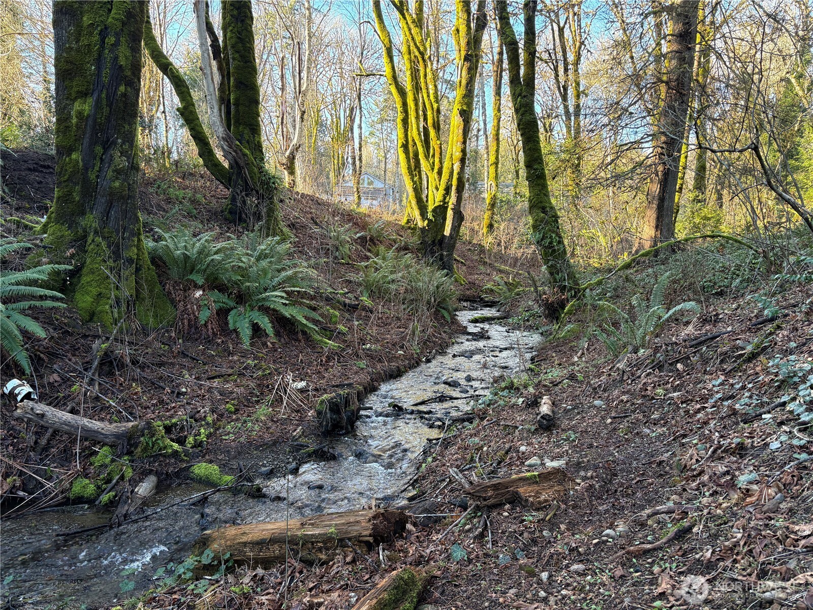 153 East Mason Lake Road Shelton, WA 98584 - Photo 3 of 30