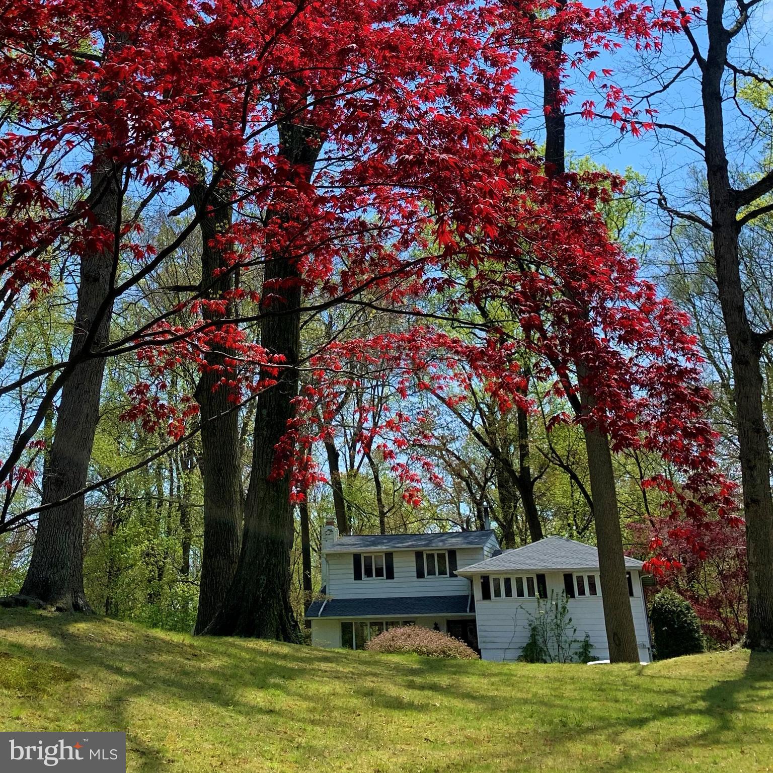 1020 Kipling Road Jenkintown, PA 19046 - Photo 42 of 42 Spring Picture