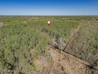 137.18-ac Ivanhoe Road Harrells, NC 28444 - Photo 16 of 21 Ivanhoe Rd 55