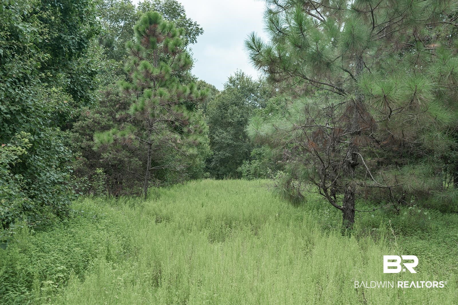 6010 Ranch Loop Road East Grand Bay, AL 36541 - Photo 1 of 9
