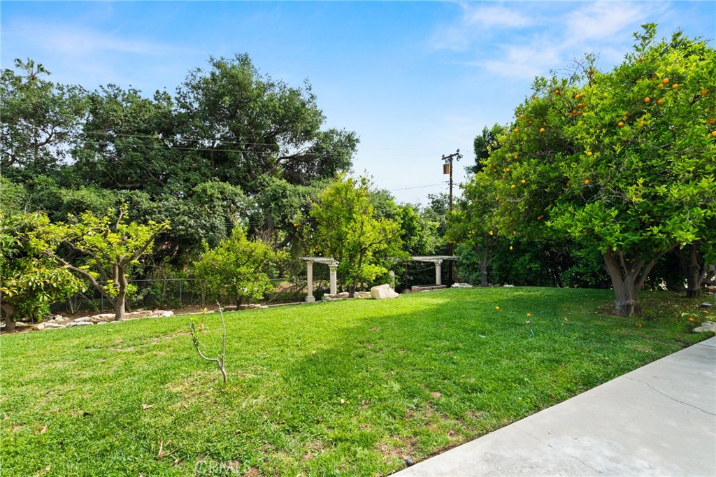 3336 Villa Mesa Road Pasadena, CA 91107 - Photo 56 of 60 a view of a park with large trees