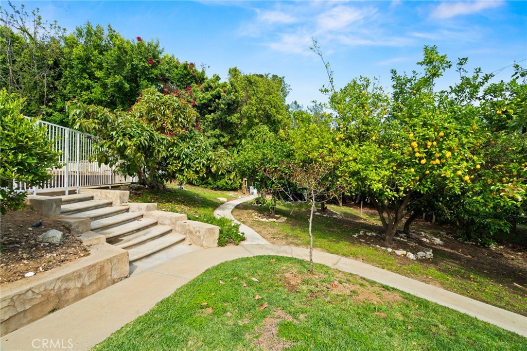 3336 Villa Mesa Road Pasadena, CA 91107 - Photo 57 of 60 a view of a backyard with a garden