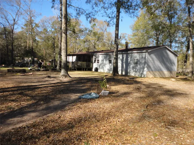 a view of a yard with plants and trees