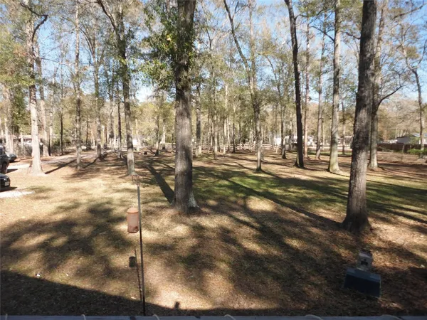 a view of a yard with trees