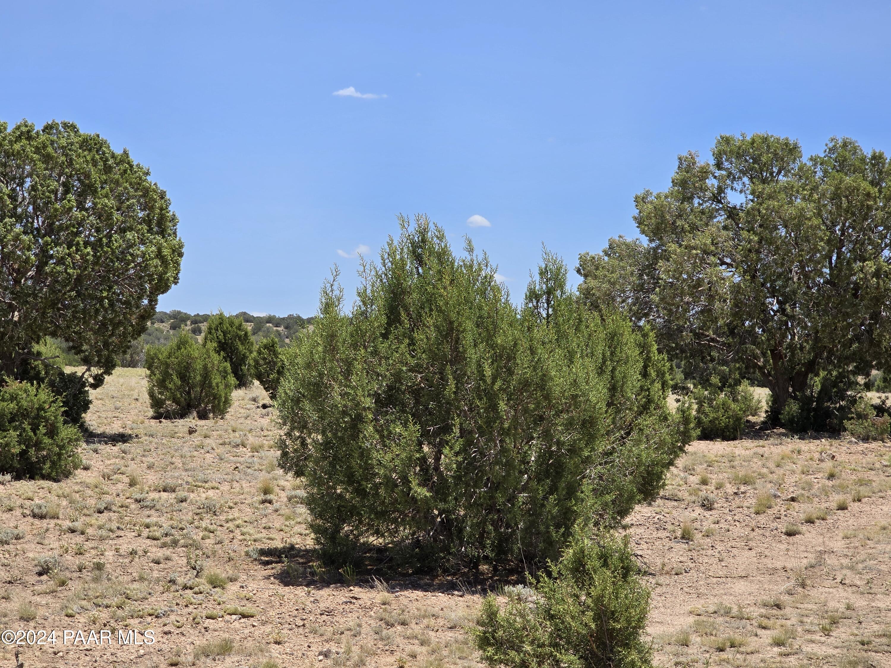 0 North Ten Tanks Road Williams, AZ 86046 - Photo 40 of 68 20240619_121516