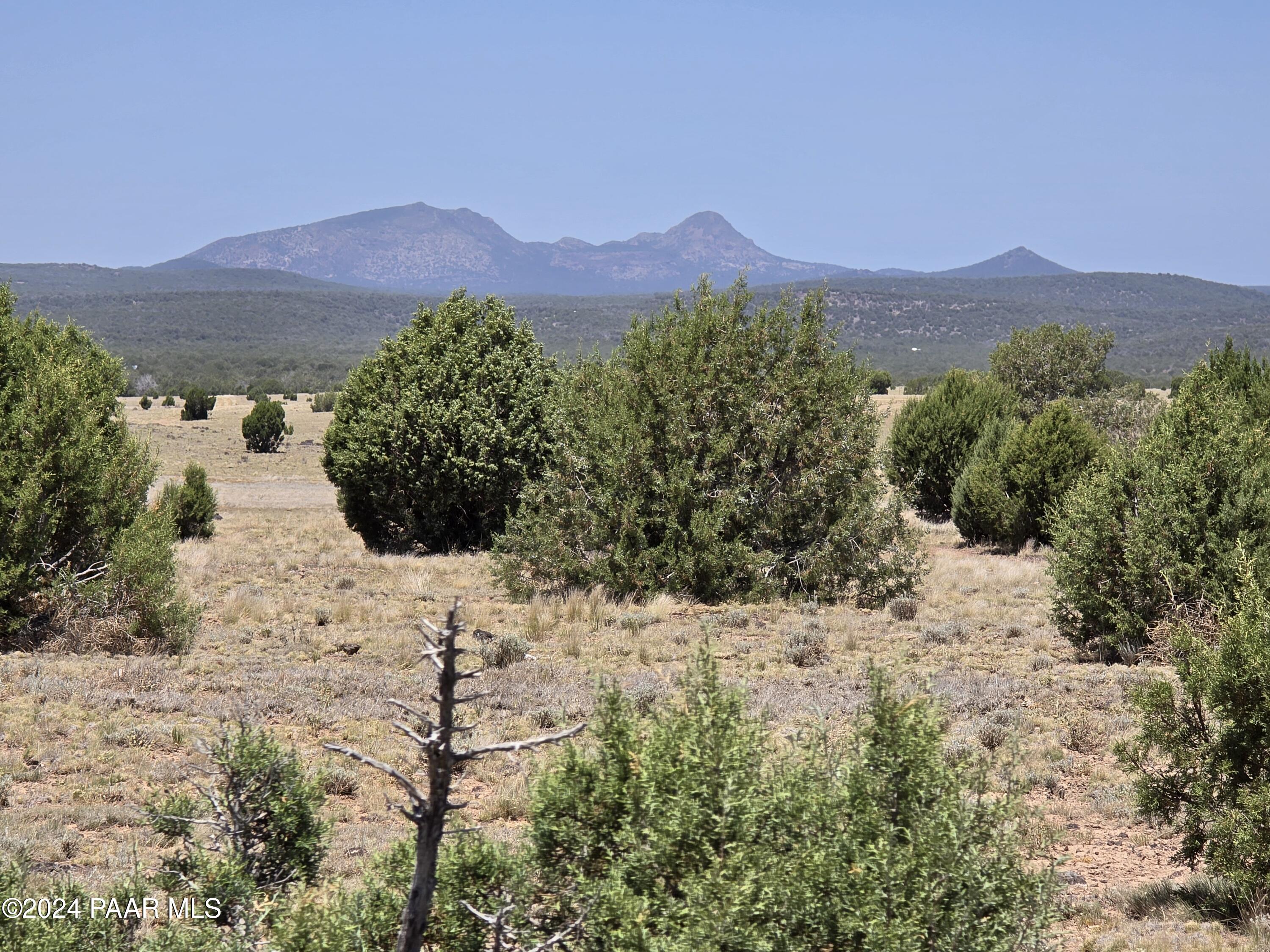 0 North Ten Tanks Road Williams, AZ 86046 - Photo 48 of 68 20240619_120657