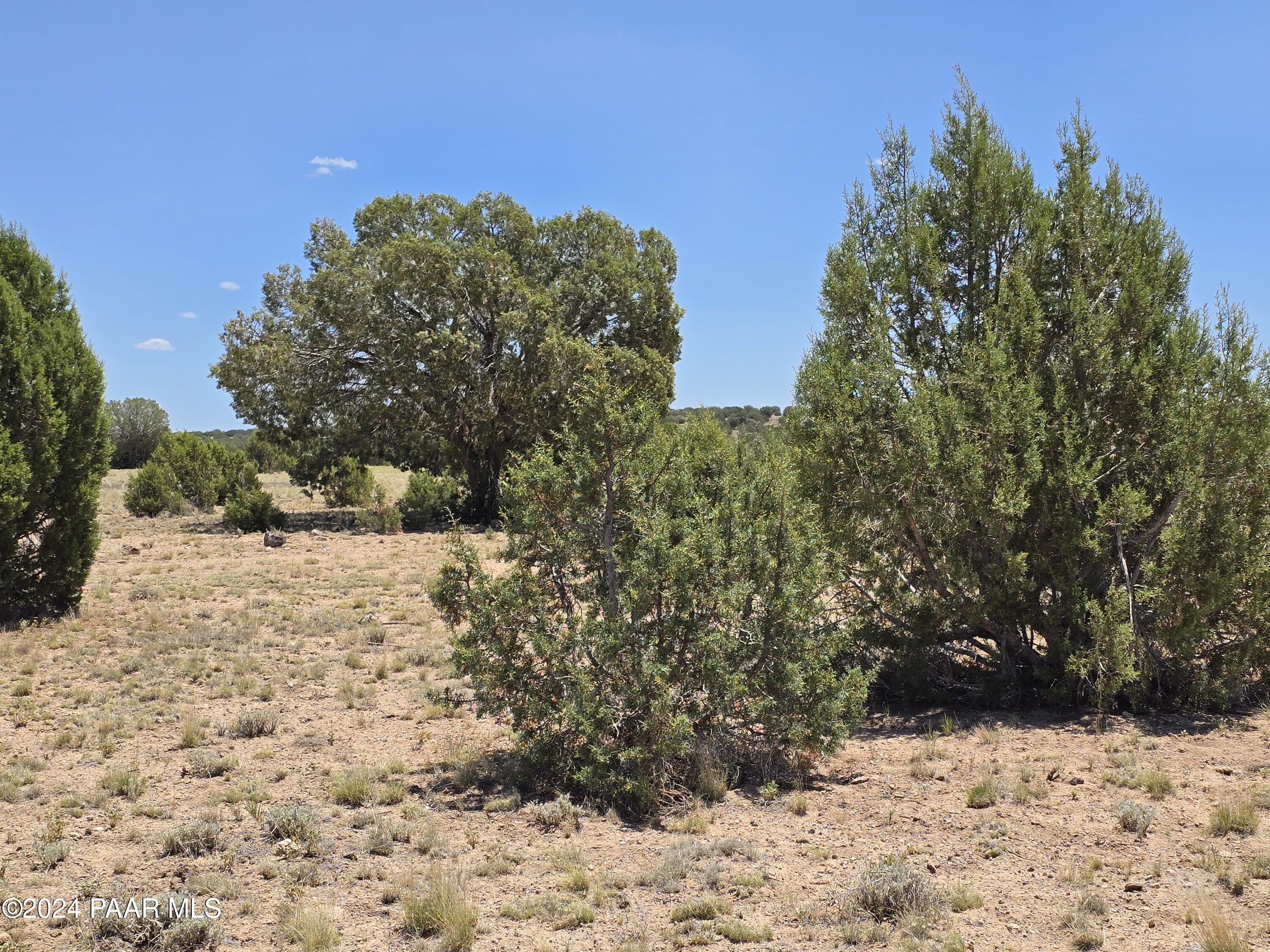 0 North Ten Tanks Road Williams, AZ 86046 - Photo 50 of 68 20240619_120632