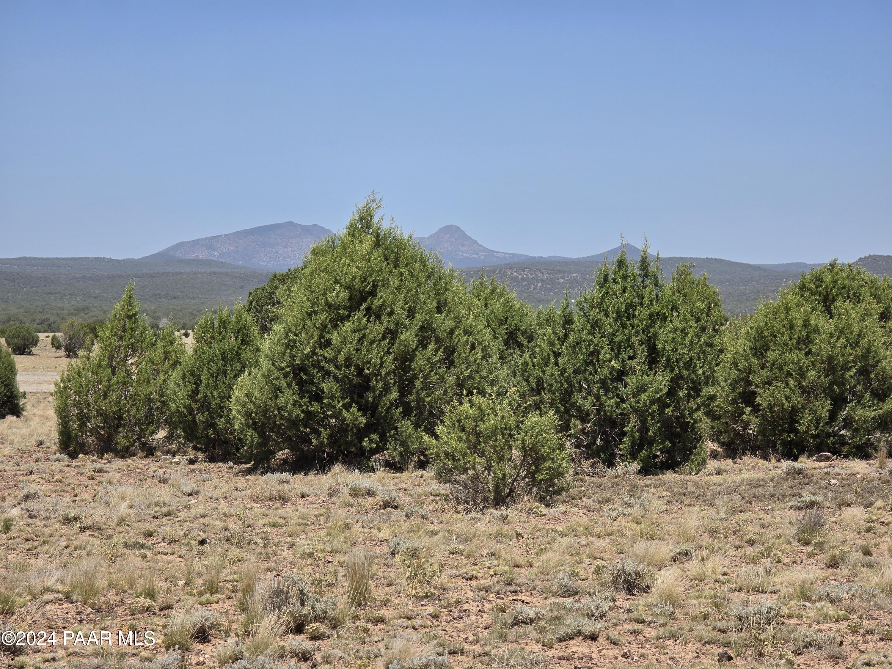 0 North Ten Tanks Road Williams, AZ 86046 - Photo 54 of 68 20240619_120551