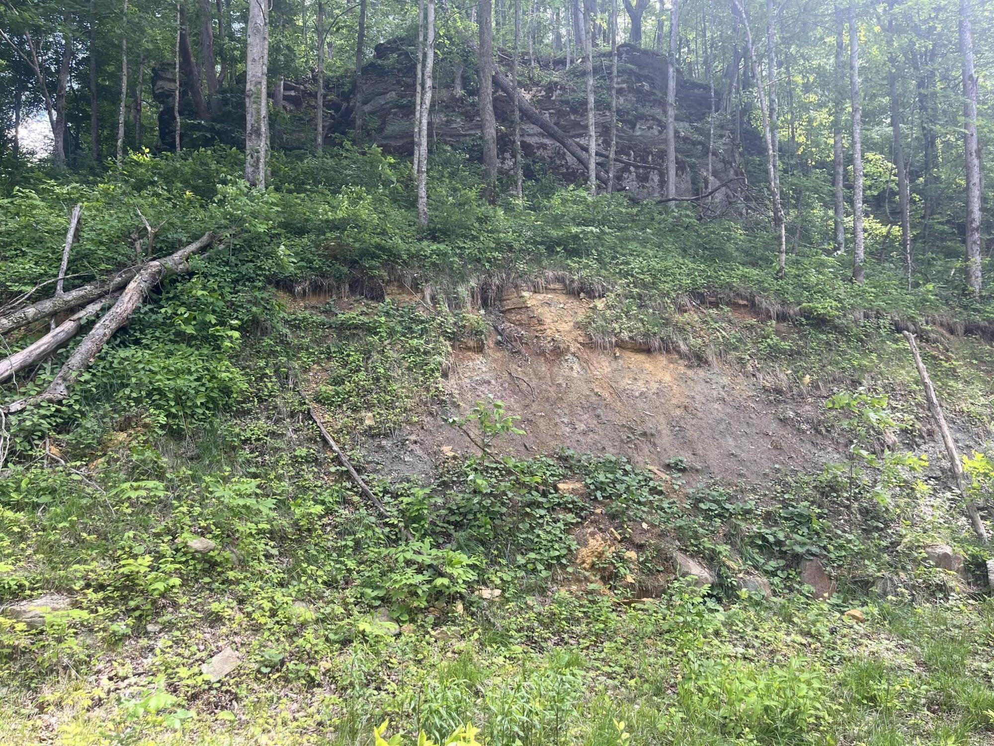 0 Birch Hollow Road, Unit LOT 12 Stanton, KY 40380 - Photo 3 of 8